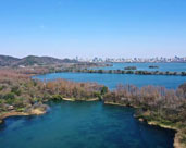 純水處理設備生產廠家(該找哪家生產廠家)